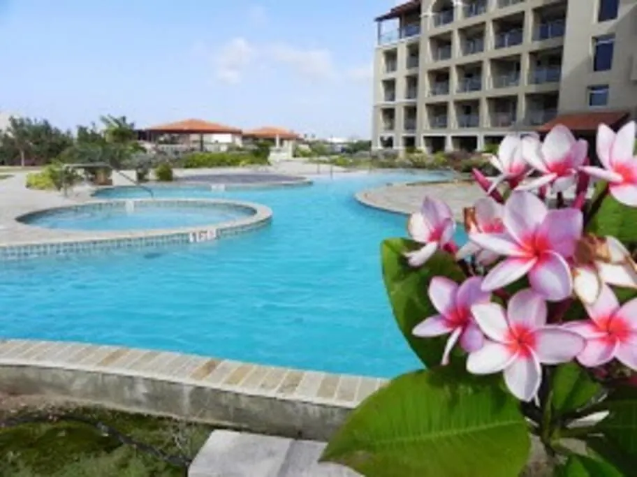Apartment Beautiful Vibes Sun Kiss Serenity Your Stylish Apt Just Steps From Eagle Beach Palm Beach Aruba