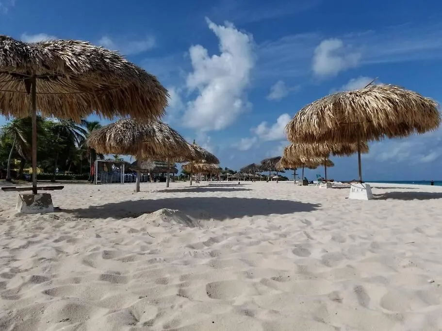 Beautiful Vibes Sun Kiss Serenity Your Stylish Apt Just Steps From Eagle Beach Palm Beach