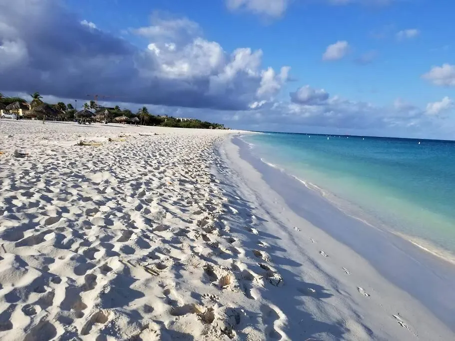 Beautiful Vibes Sun Kiss Serenity Your Stylish Apt Just Steps From Eagle Beach Palm Beach
