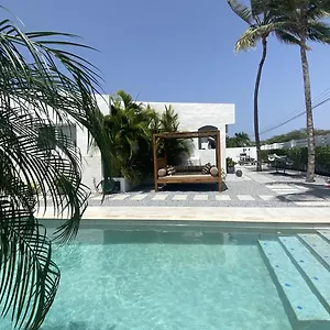 Movida Aruba Palm Beach